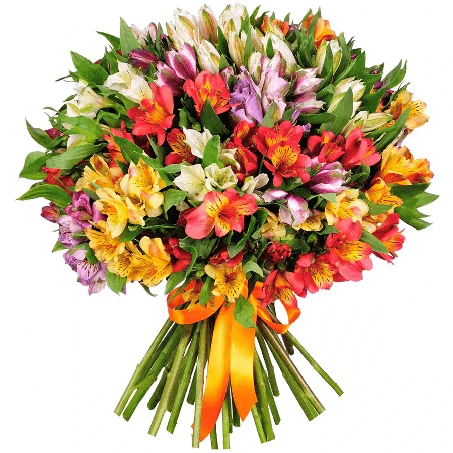 Альстромерии разноцветный микс