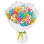 Букет из 25 разноцветных гипсофил